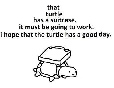 Turtle Suitcase