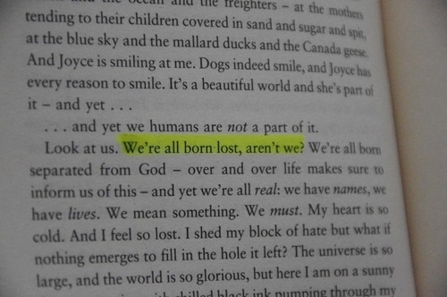 essay+quotation from a book essay+quotation from a book