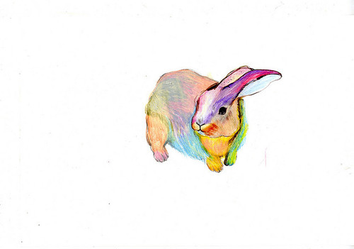 bunny, color and colors