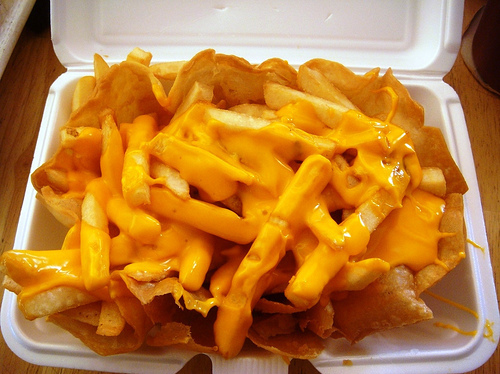 cheese fries, fastfood and fat