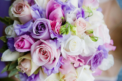 flowers, pink and purple