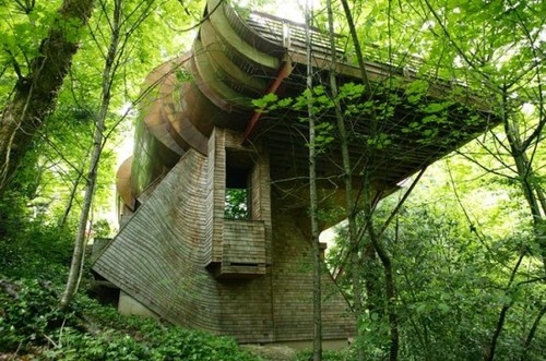architecture, epic, forest, nature, tree house, treehouse