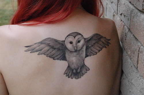 back, back tattoo, owl, owl