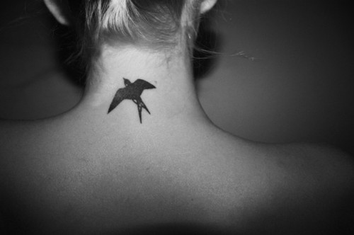 back tattoo, bird tattoo, girl, ink, swallow, tattoo