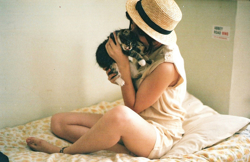 bed, cat and girl