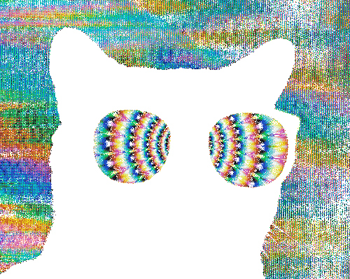 cat, colorful and glasses