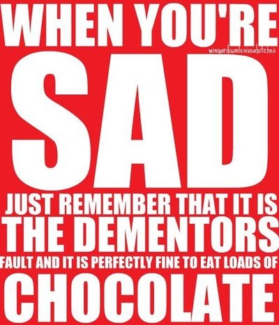 chocolate-dwebs-funny-harry-potter-true-