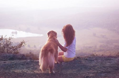 dog, girl and golden