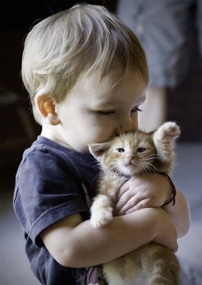 Conceivebaby  on Baby  Boy  Cat  Cute  Katze   Inspiring Picture On Favim Com