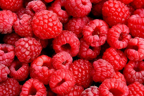 berries-fruit-pink-raspberries-red-Favim