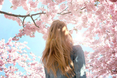 blonde, cherry blossom, girl, long hair, pretty, vintage