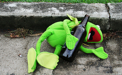 bottle-caco-drunk-frog-funny-wine-Favim.com-51565.jpg
