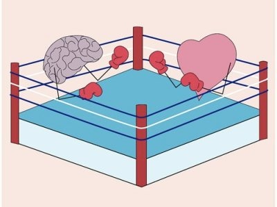 boxing,  brain and  fight