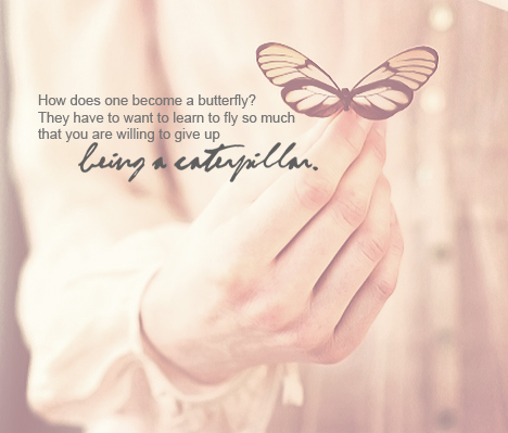 butterfly, cute, girly, life quote, love quote, pink