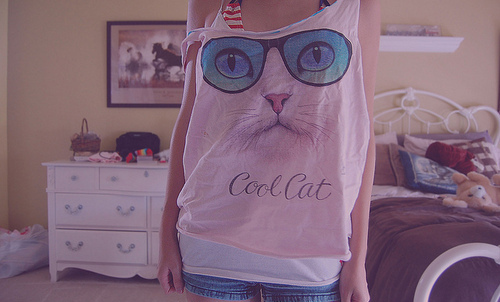 cat,  cool cat and  fashion