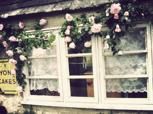 flowers, house and lace