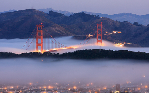 beautiful,  bridge and  fog