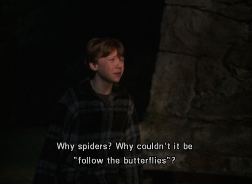butterflies, fear and harry potter
