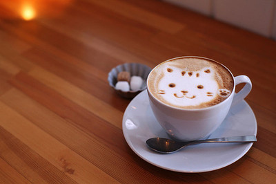 cat,  coffee and  cute