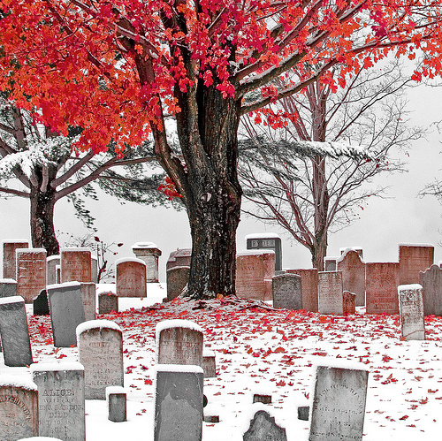 cemetery, graves and gravestones