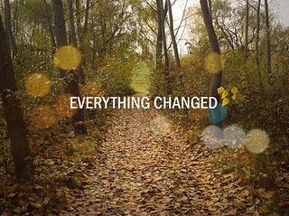 changed,  everything and  forest