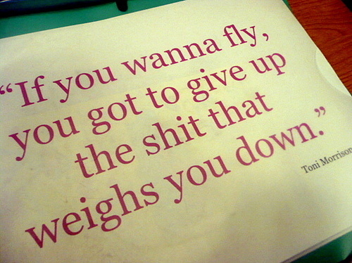 fly, pink and quote