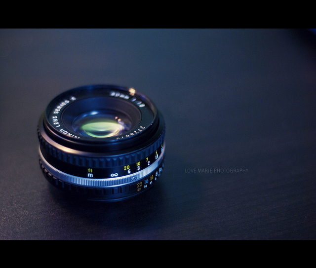 50mm, cute and lens