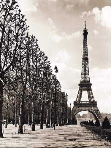 Picture  Eiffel Tower on Black  Eiffel  Old  Tower  Trees  Vintage   Inspiring Picture On Favim