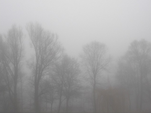 black and white, dark and fog