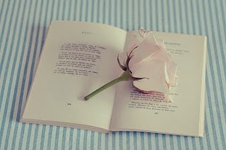 book,  flower and  pink