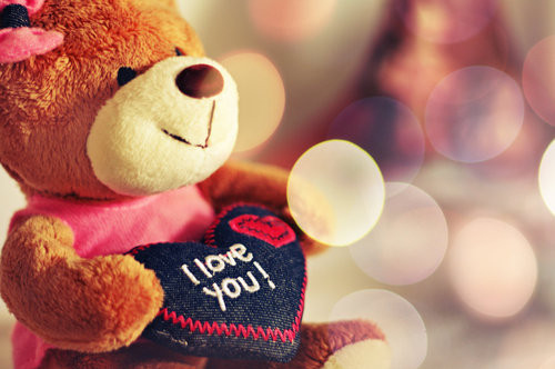 i love you teddy. cute, i love you, love, own,
