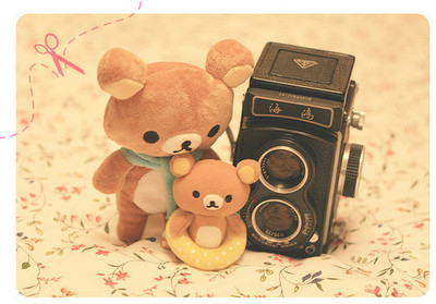 adorable, bass, bear, cute, duck, duck and bear