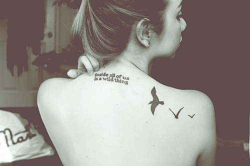 beautiful, bird, birds, girl, photography, runawaylove.blogg.no