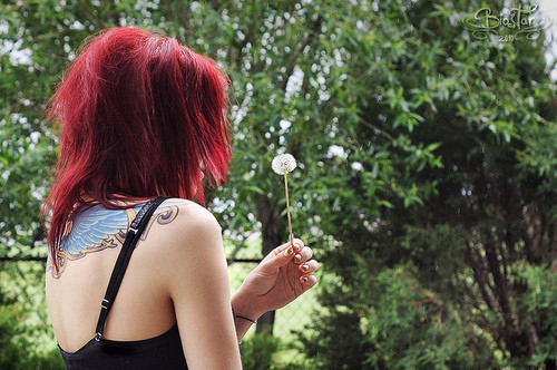 beauty, blow and dandelion