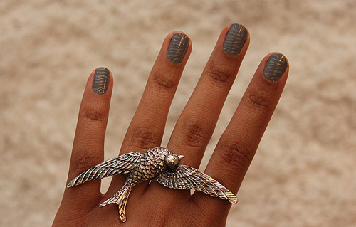 bird,  fashion and  hand