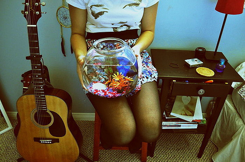 bowl, fish and guitar