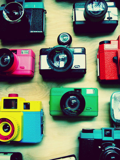 cameras, diana, diana mini, fisheye, flash, inster