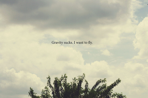 fly, gravity and text