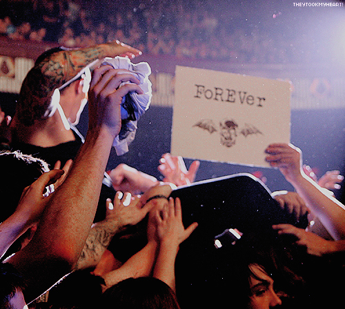 a7x, avenged sevenfold and forever