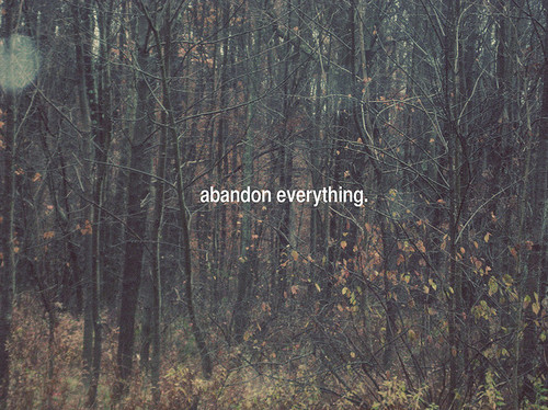abandon, everything and forest