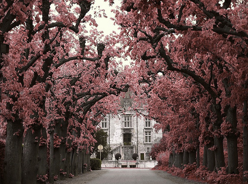 beautiful, house and pink