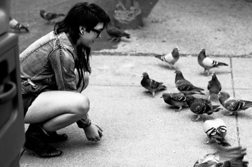 birds, black and white and cute