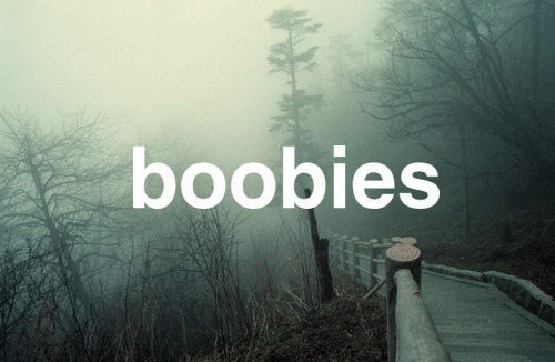 boobies, life and love