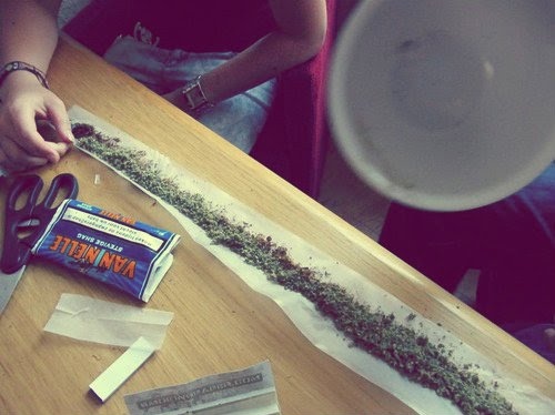 cannabis, gigant and hemp
