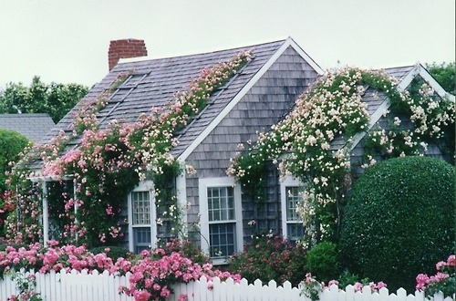 cottage, cute, exterior, flowers, house, vintage
