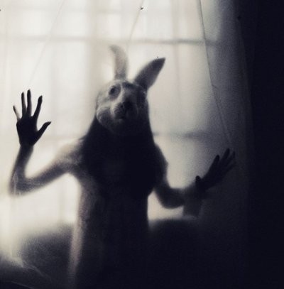 http://favim.com/orig/201105/28/bampw-black-and-white-dark-mask-rabbit-scary-Favim.com-57620.jpg