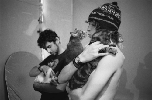 b&w, boys and cat
