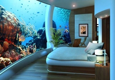 bed,  fish and  lights