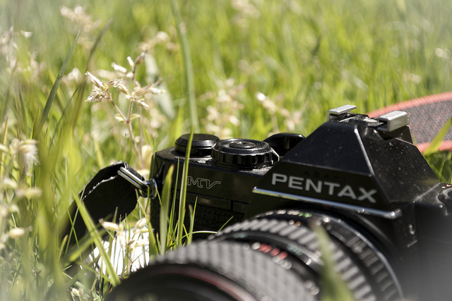 camera, film and grass