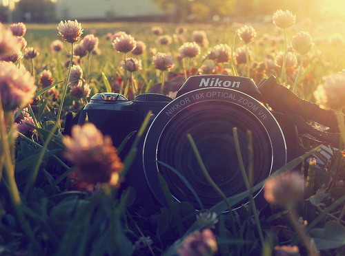 camera, floral and flower